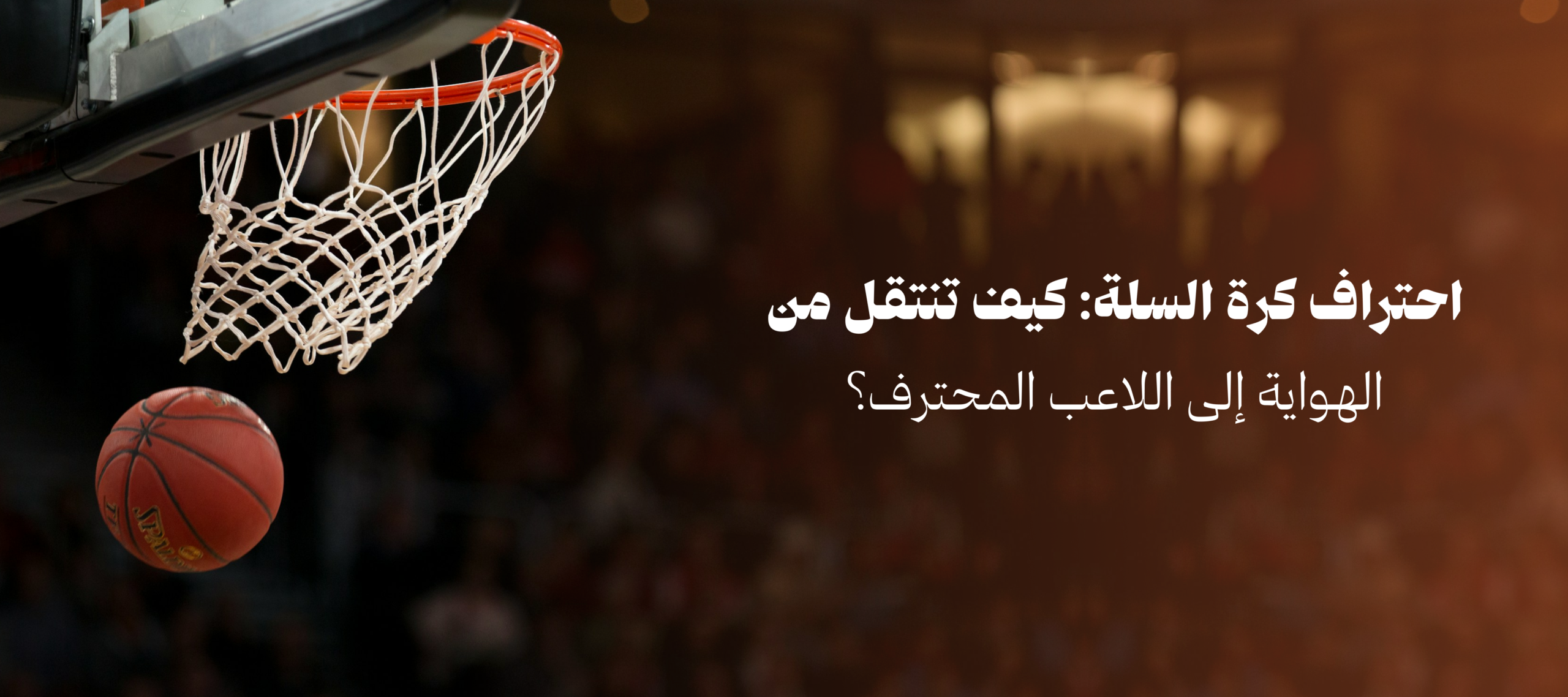 احتراف كرة السلة: كيف تنتقل من الهواية إلى اللاعب المحترف؟